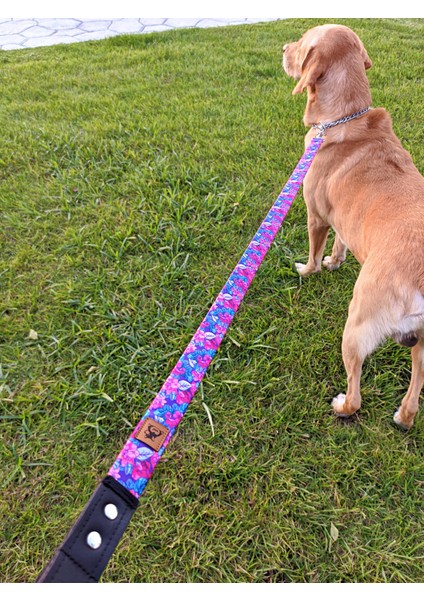 Lilac Köpek Tasma Seti fırsatları