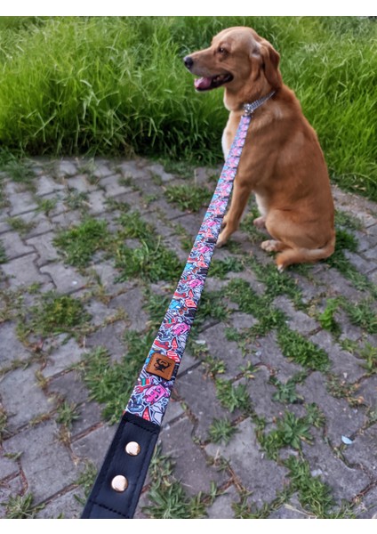 Street Köpek Tasma Seti fırsatları