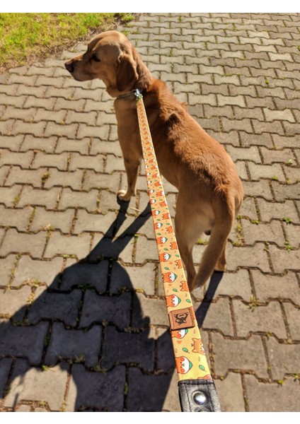 Shiba Köpek Tasma Seti indirimleri