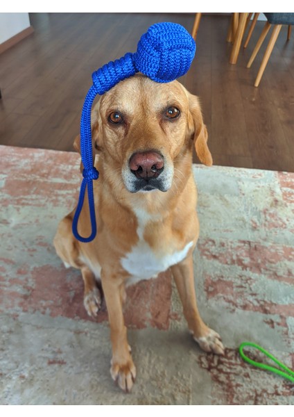 Köpekler Için Çekiştirmeli Halat Top Oyuncağı Renkli modelleri