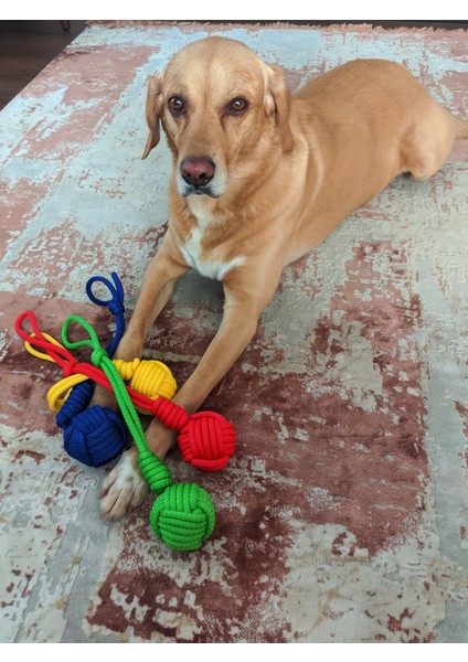 Köpekler Için Çekiştirmeli Halat Top Oyuncağı Renkli fırsatları