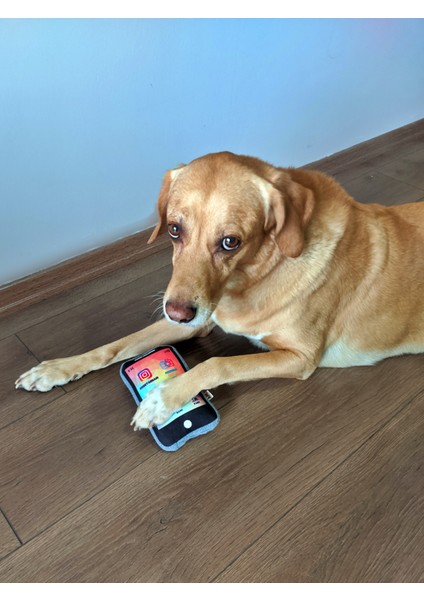 5'li Köpek Oyuncak Seti ( Yastık Oyuncaklı)