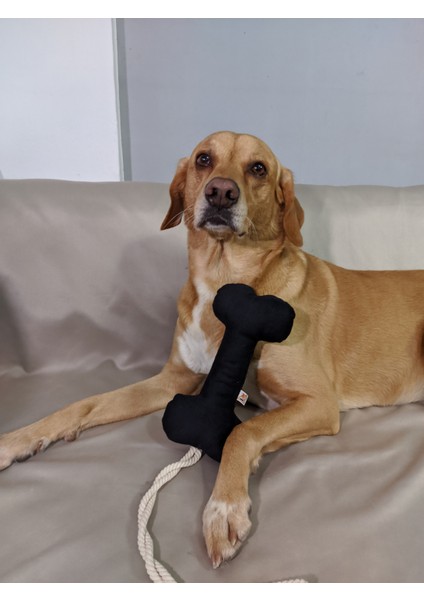 5'li Köpek Oyuncak Seti ( Yastık Oyuncaklı)