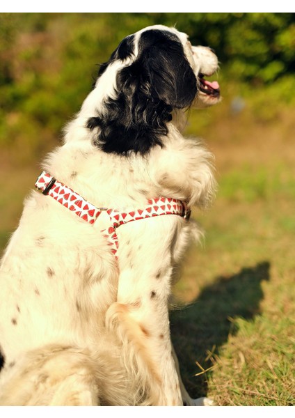 Watermelon Köpek Göğüs Tasması