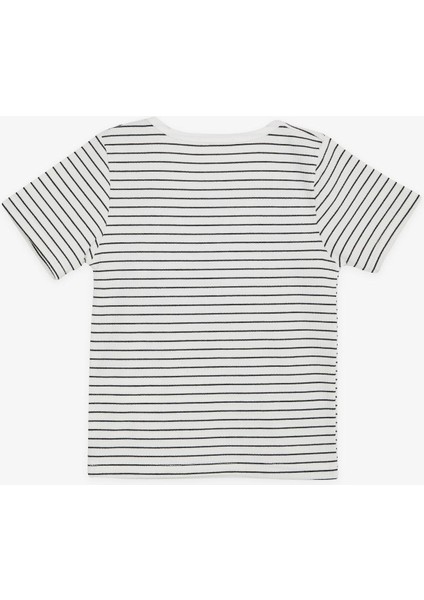 Kız Çocuk Tişört Çizgili Kare Yaka Armalı 9-14 Yaş, Ekru fiyatları