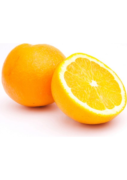 Power Navel Portakal Ağacı