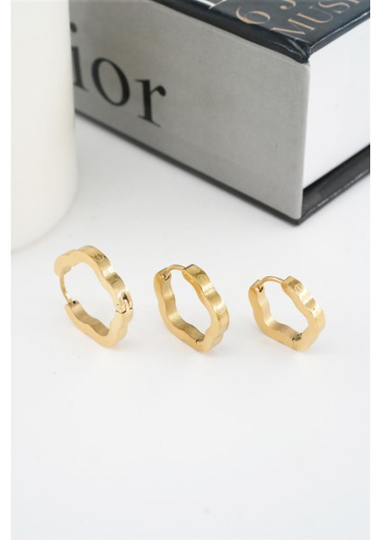 Kadın 316 L Paslanmaz Çelik Beşgen Model 3 Boy Küpe Seti