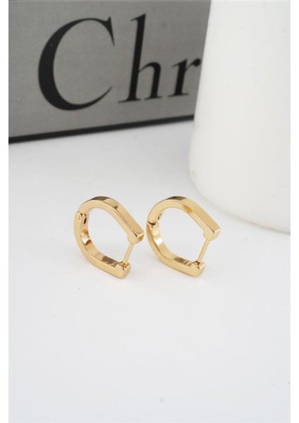 Kadın 316 L Paslanmaz Çelik 1.8 cm Oval Model Küpe