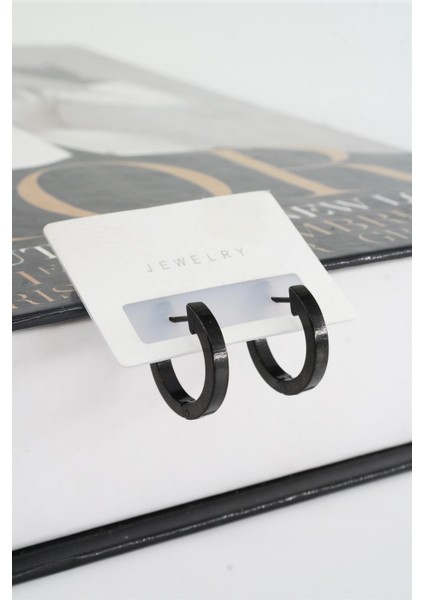 Kadın 316 L Paslanmaz Çelik 2 cm Oval Model Küpe fiyatları