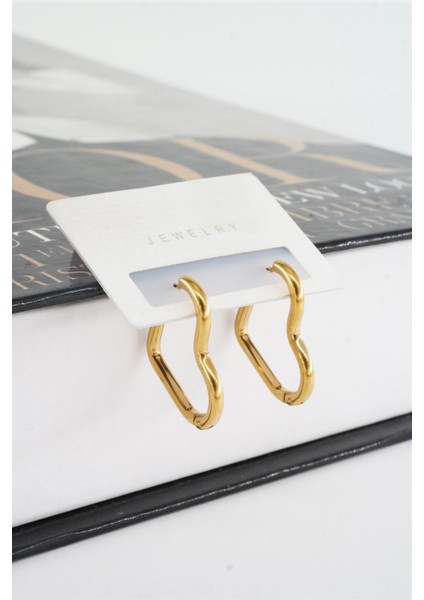 Kadın 316 L Paslanmaz Çelik 2 cm Kalp Model Küpe