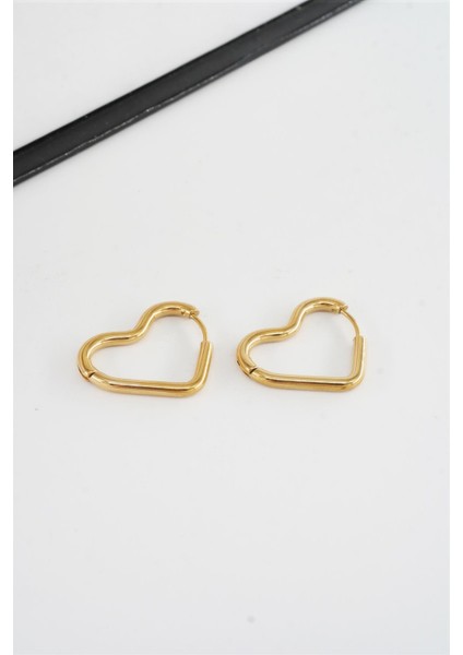 Kadın 316 L Paslanmaz Çelik 2 cm Kalp Model Küpe fiyatları