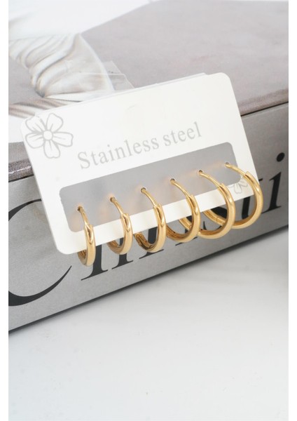 Kadın Kararmaz 316 L Çelik 6'lı Halka Set Küpe