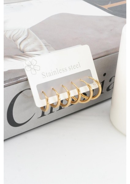 Kadın Kararmaz 316 L Çelik 6'lı Halka Set Küpe modelleri