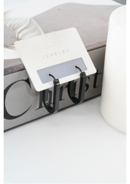 Kadın 316 L Paslanmaz Çelik 2 cm Elips Model Küpe fiyatları