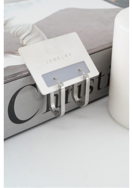 Kadın 316 L Paslanmaz Çelik 2 cm Elips Model Küpe