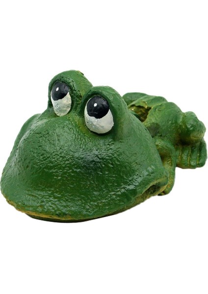 Hava Pompası Frog (Yurt Dışından)