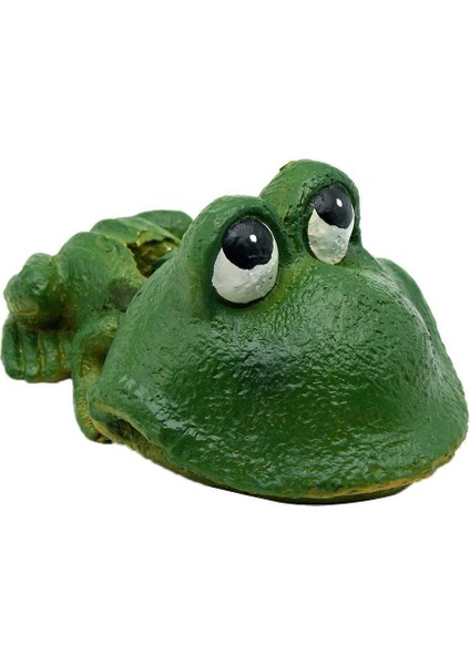 Hava Pompası Frog (Yurt Dışından)