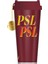 ® Psl Desenli Aksesuarlı Plastik Termos - Bordo - 473 ml - 11146106 2