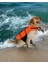 Köpek Can Yeleği, Köpekler Için Reflektörlü Yüzme Yardımcısı 2