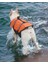 Köpek Can Yeleği, Köpekler Için Reflektörlü Yüzme Yardımcısı 3