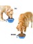 Katlanabilir Evcil Hayvan Mama/su Kasesi Silikon Katlanabilir Köpek Mama Kasesi (350 Ml) (Mavi) 3
