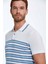 Mavi Çizgi Desenli Beyaz Triko Polo 1