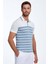 Mavi Çizgi Desenli Beyaz Triko Polo 4