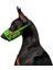 Waudog Avocado Model Köpek Ağızlığı 19-26 cm No:2 (5367) 1