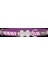 Reddingo Reflektörlü Ziggy Desenli Mor Boyun Tasması Xs 12MM / 20-32 cm 2
