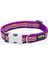 Reddingo Dreamstream Desenli Mor Köpek Boyun Tasması S 15MM / 24-36 cm 1