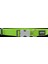 Reddingo Klasik Lime Köpek Boyun Tasması L 25MM / 41-63 cm 2