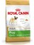 Pug Adult 1.5 Kg. 1