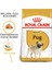 Pug Adult 1.5 Kg. 2