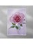 Pembe Gül Posteri 35X50 cm 1