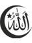 Türk Bayrağı ve Allah Sticker Siyah 20X20 cm 1