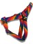 Rainbow Köpek Göğüs Tasması 3