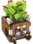 Succulents Serisi Saksı Yapı Taşları (Yurt Dışından) 1