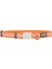 Reddingo Reflektörlü Ziggy Desenli Turuncu Kedi Boyun Tasması 12 mm 20-32 cm 1