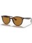 Rayban RB4305 710/83 53 Güneş Gözlüğü 1