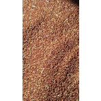 Altın Ekin Kızıl Dal Darı Tohumu Elenmiş 5 kg