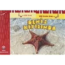 Bir Bak Bir Daha Bak - Deniz Kıyısında