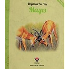 Doğanın Bir Yılı - Mayıs