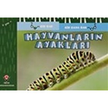 Hayvanların Ayakları - Bir Bak Bir Daha Bak