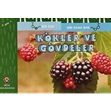 Kökler ve Gövdeler - Bir Bak Bir Daha Bak
