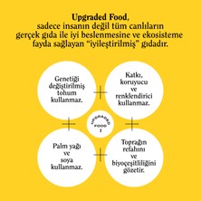 The Good Wild Glütensiz, Şeker İlavesiz Kahveli Kurabiye 75 G