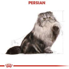 Royal Canin Persian Iran Kedilerine Özel Kedi Konservesi 85 gr