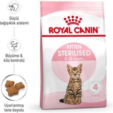 Royal Canin Kitten Sterilised Kısırlaştırılmış Yavru Kedi Maması 2 kg