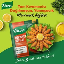 Knorr Mercimek Köftesi Hızlı Pratik ve Lezzetli 100 G