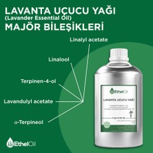 Etheloil Lavanta(Lavender) Uçucu Yağı - Etheloil - 5 KG - Saf ve Doğal Uçucu Yağ - Üretici Firma