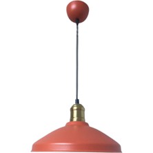 Rsylight Retro Metal Rustik Dekoratif Nar Çiçeği Tekli Sarkıt Avize Çap:25 cm